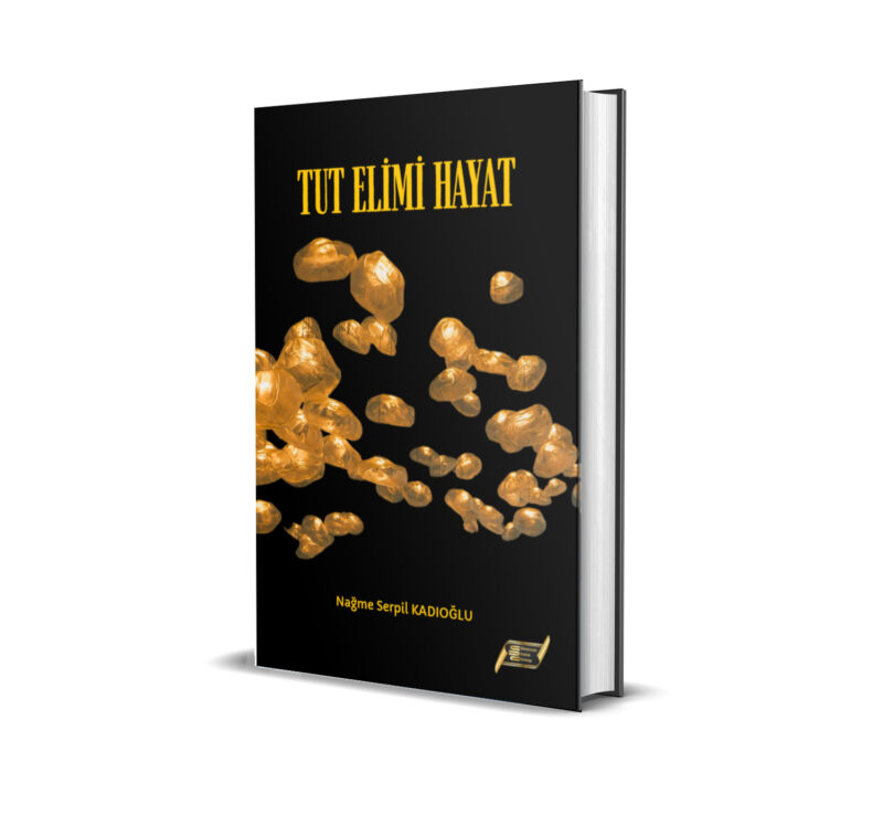 ESER: TUT ELİMİ HAYAT / NAĞME SERPİL KADIOĞLU