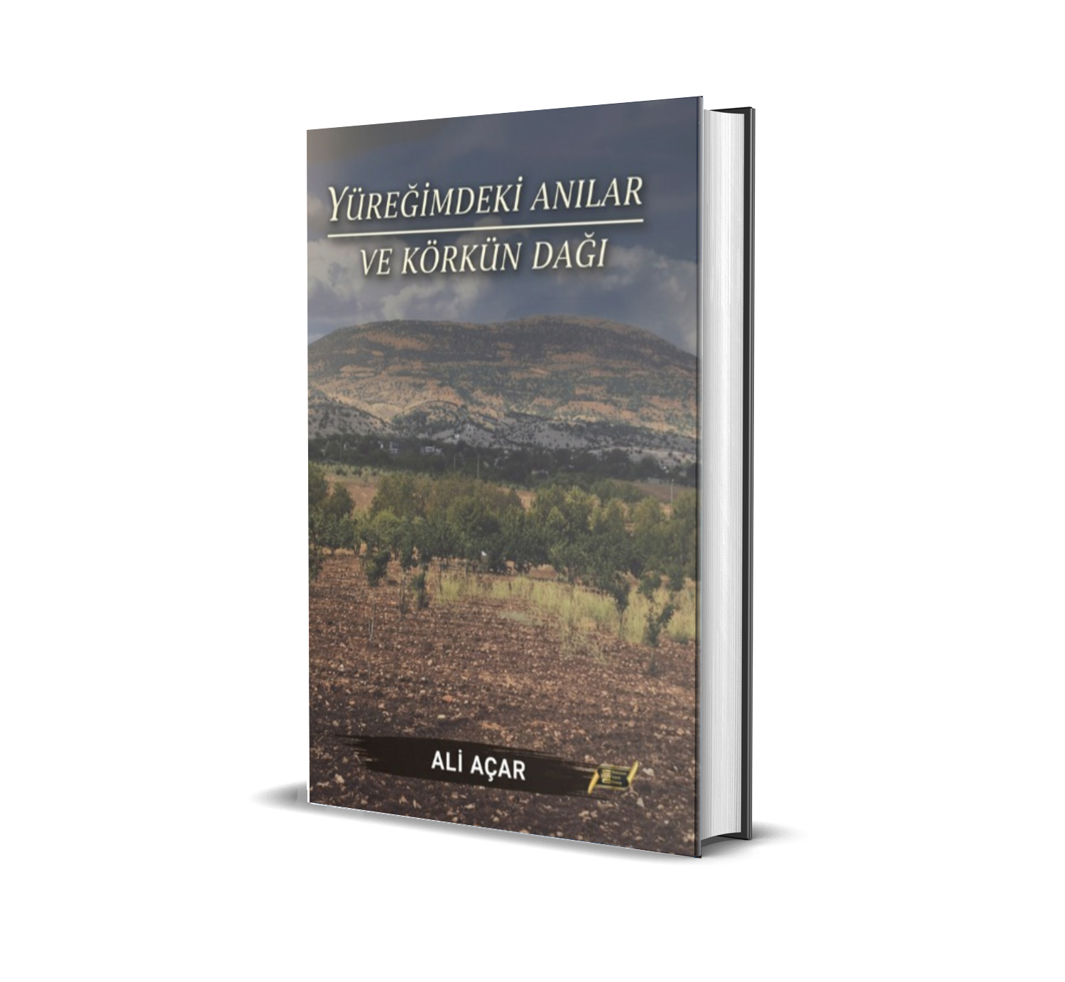 aliaçaryüreğimdekianılar